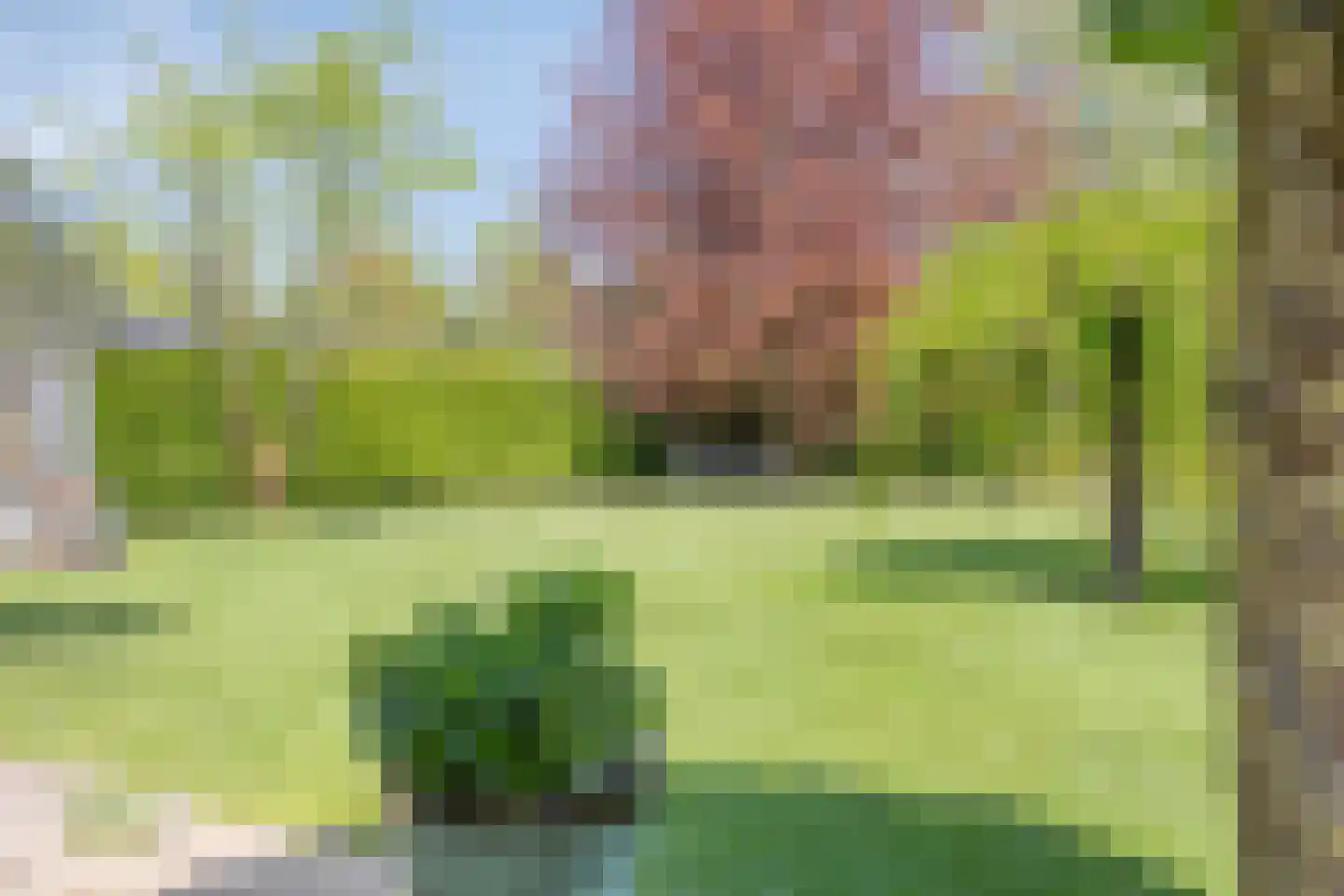 Milrooijseweg 77 Berlicum thumbnail 60