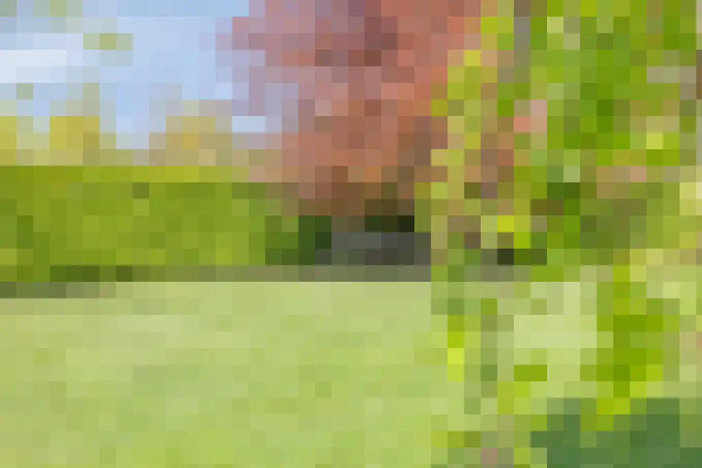 Milrooijseweg 77 Berlicum thumbnail 61