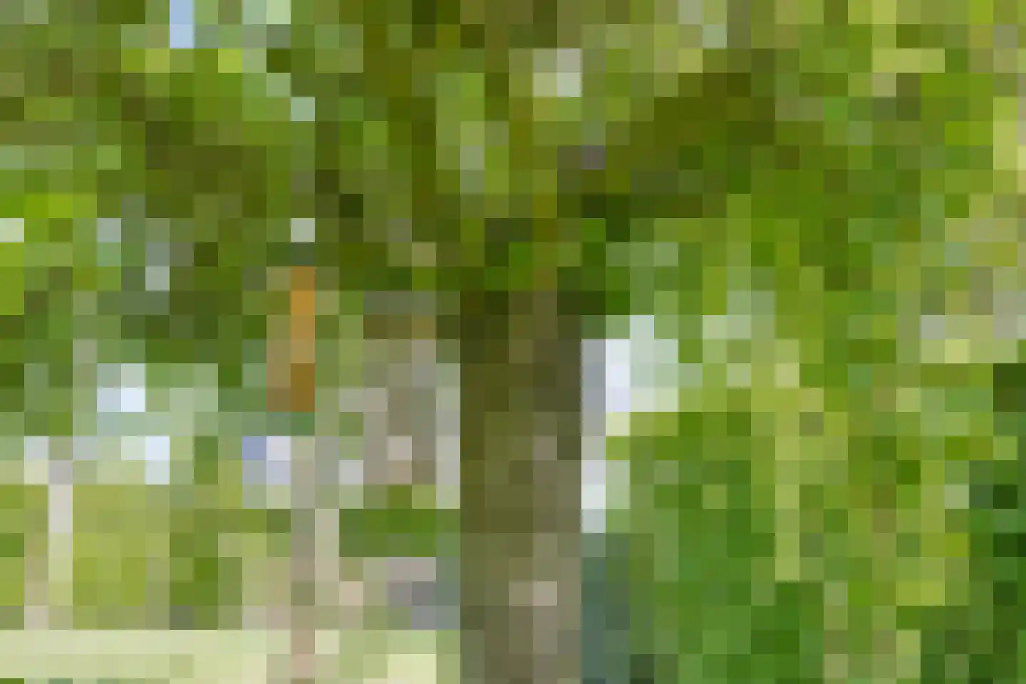 Milrooijseweg 77 Berlicum thumbnail 62