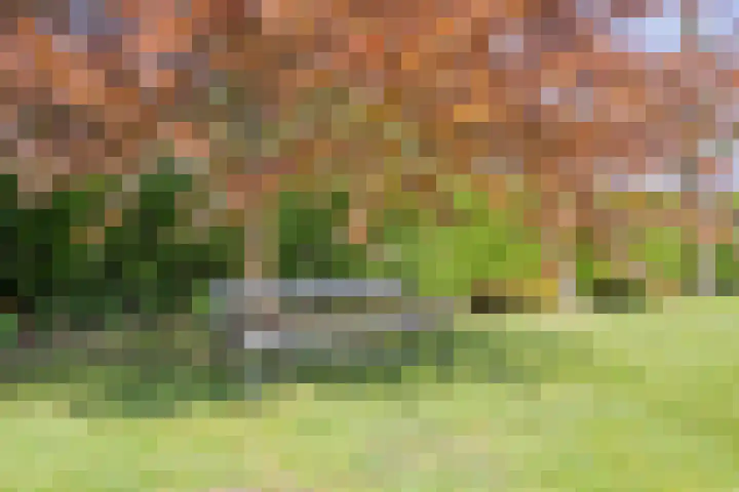 Milrooijseweg 77 Berlicum thumbnail 63