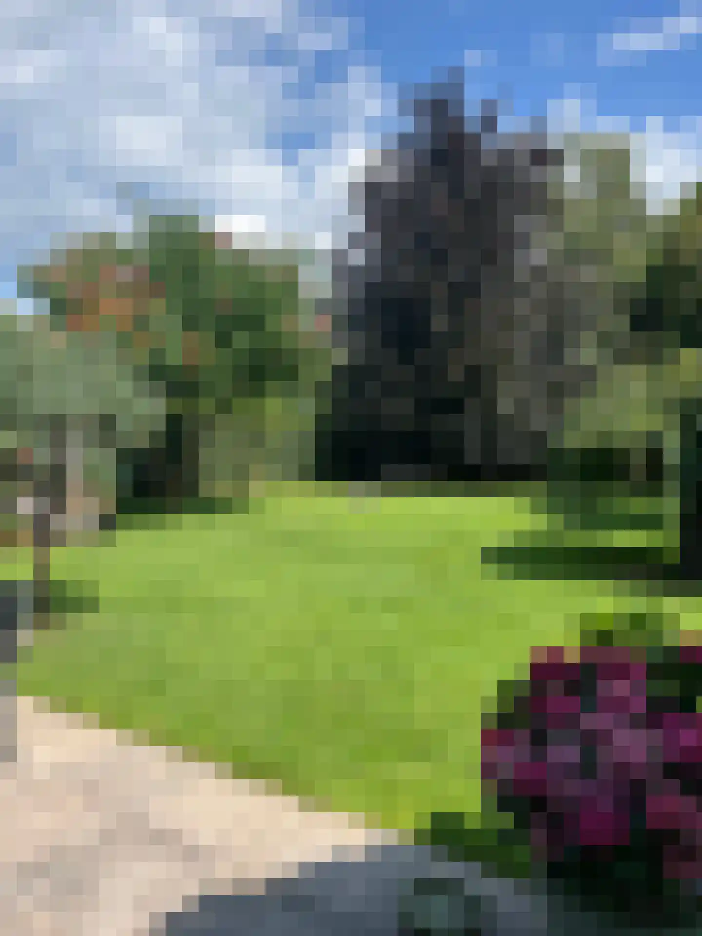 Milrooijseweg 77 Berlicum thumbnail 67