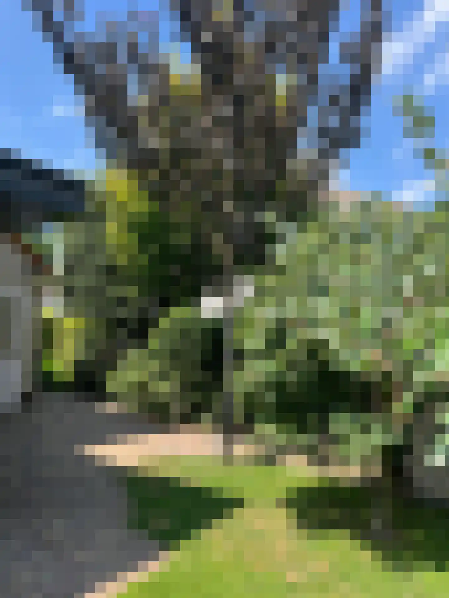 Milrooijseweg 77 Berlicum thumbnail 68