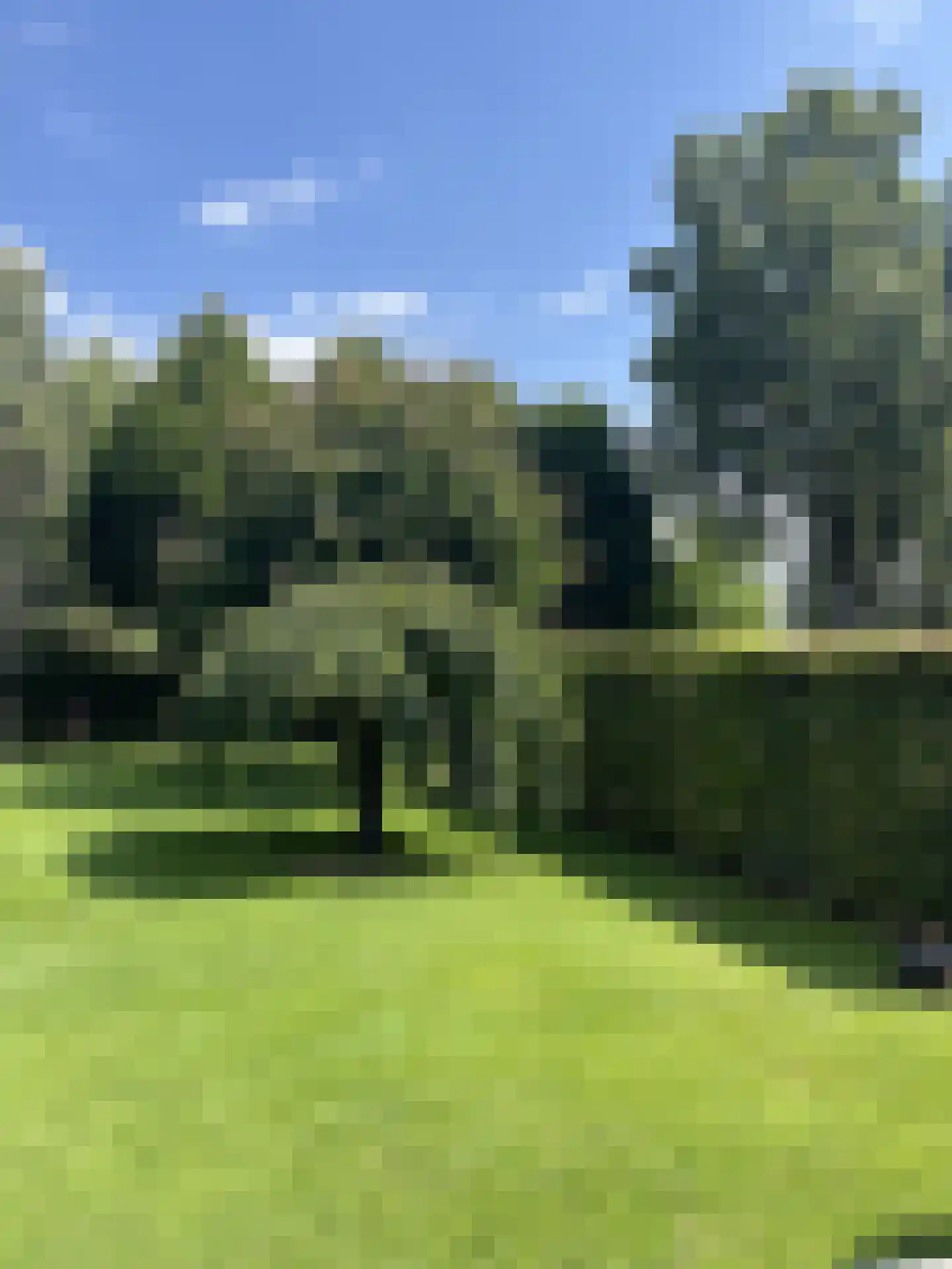 Milrooijseweg 77 Berlicum thumbnail 69