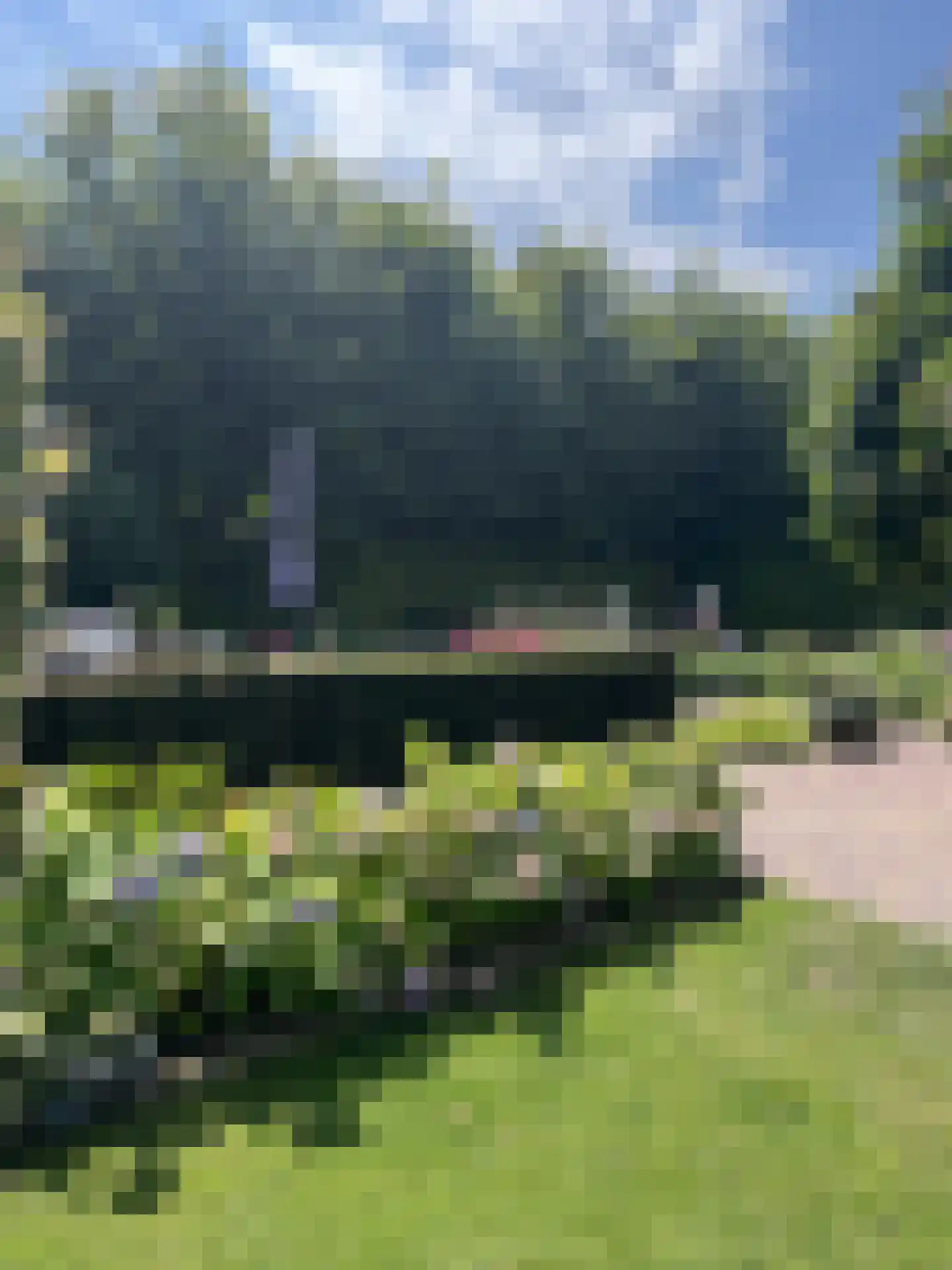 Milrooijseweg 77 Berlicum thumbnail 70