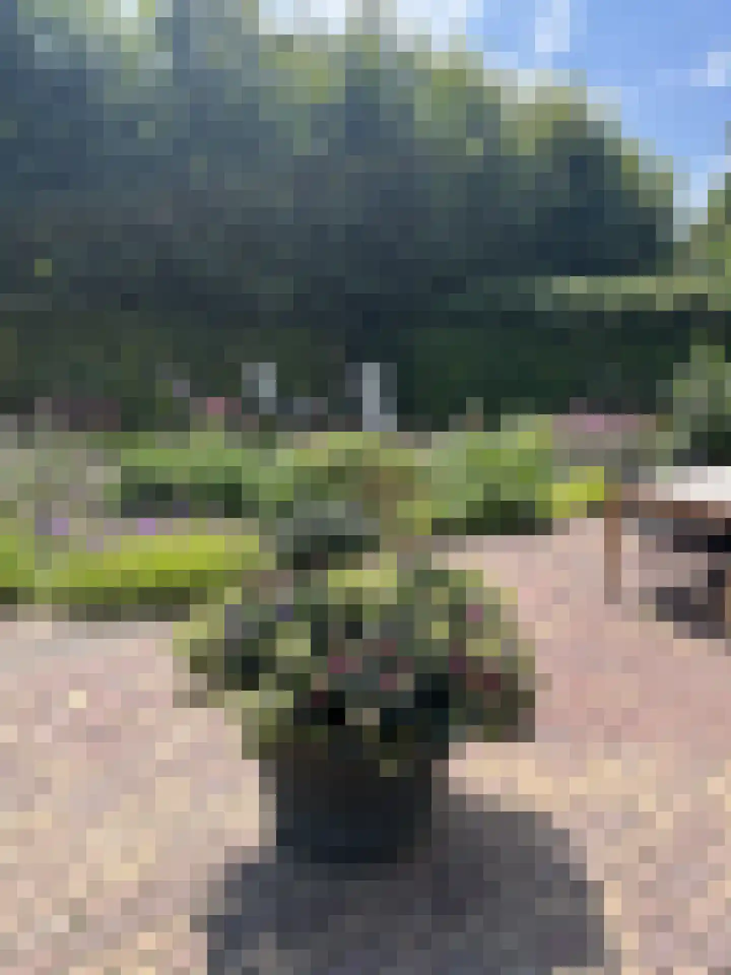 Milrooijseweg 77 Berlicum thumbnail 71