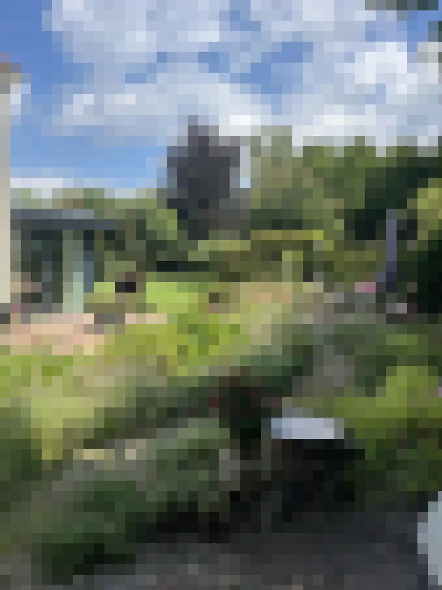 Milrooijseweg 77 Berlicum thumbnail 73