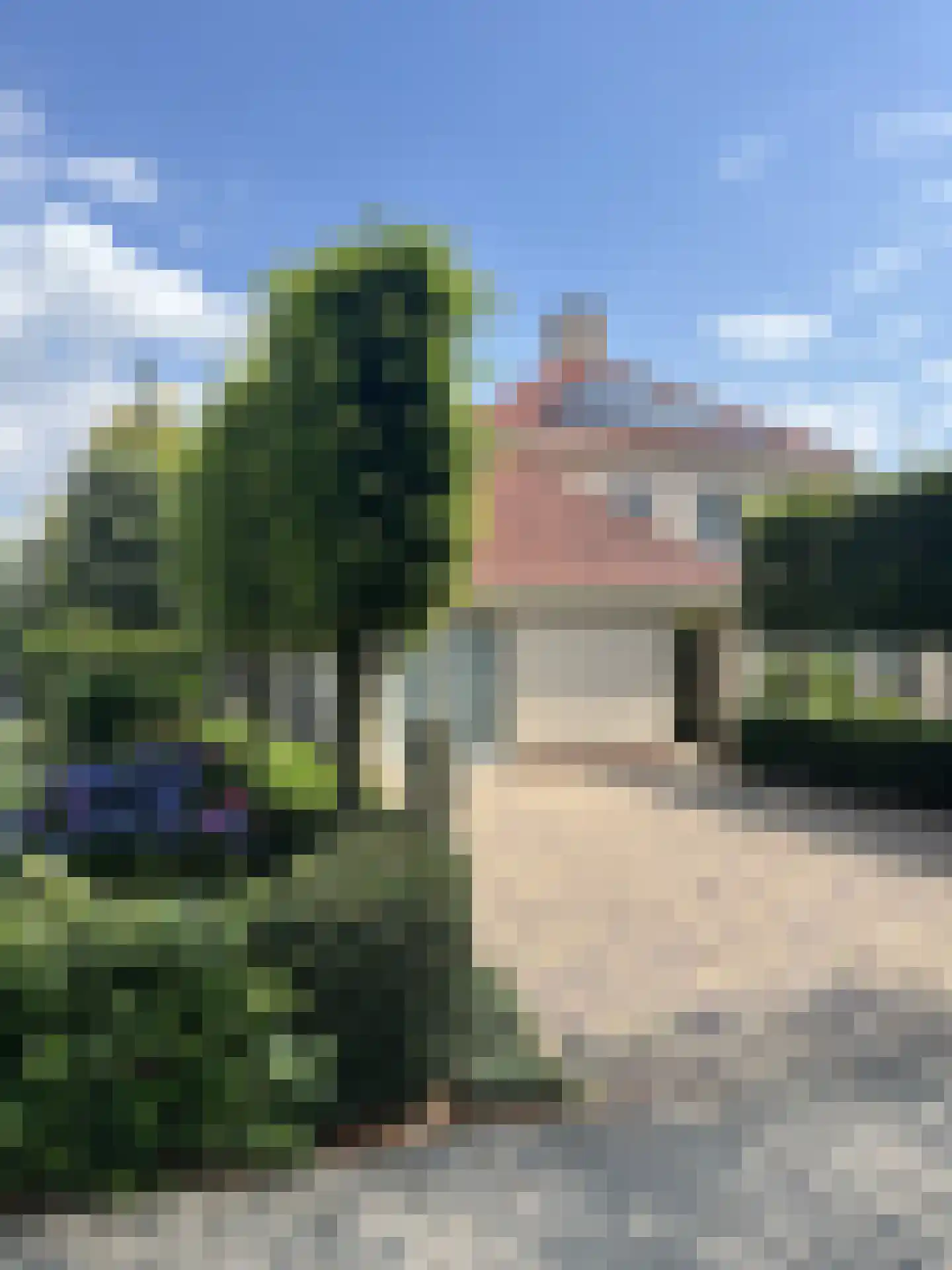 Milrooijseweg 77 Berlicum thumbnail 74
