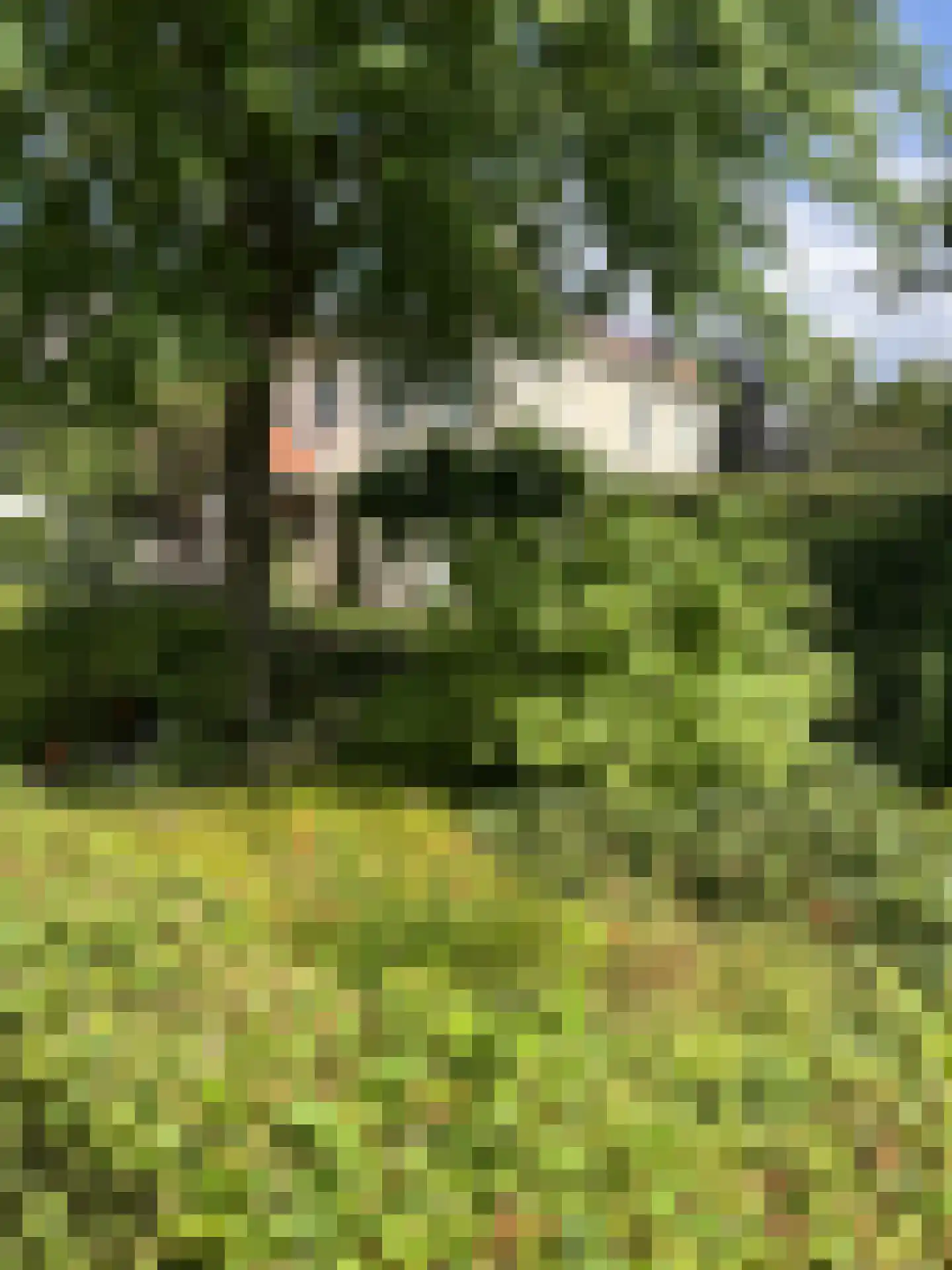 Milrooijseweg 77 Berlicum thumbnail 76