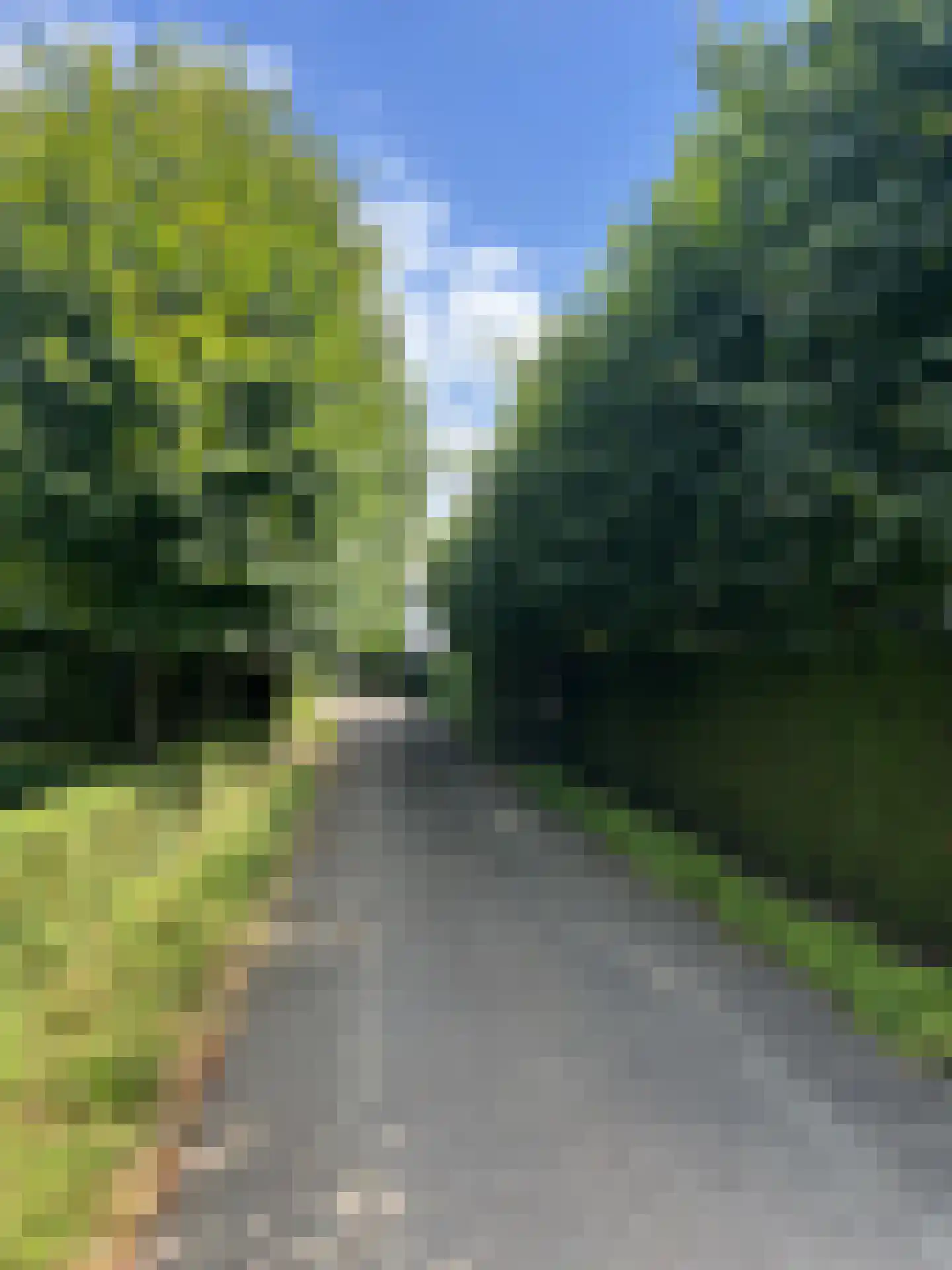 Milrooijseweg 77 Berlicum thumbnail 77