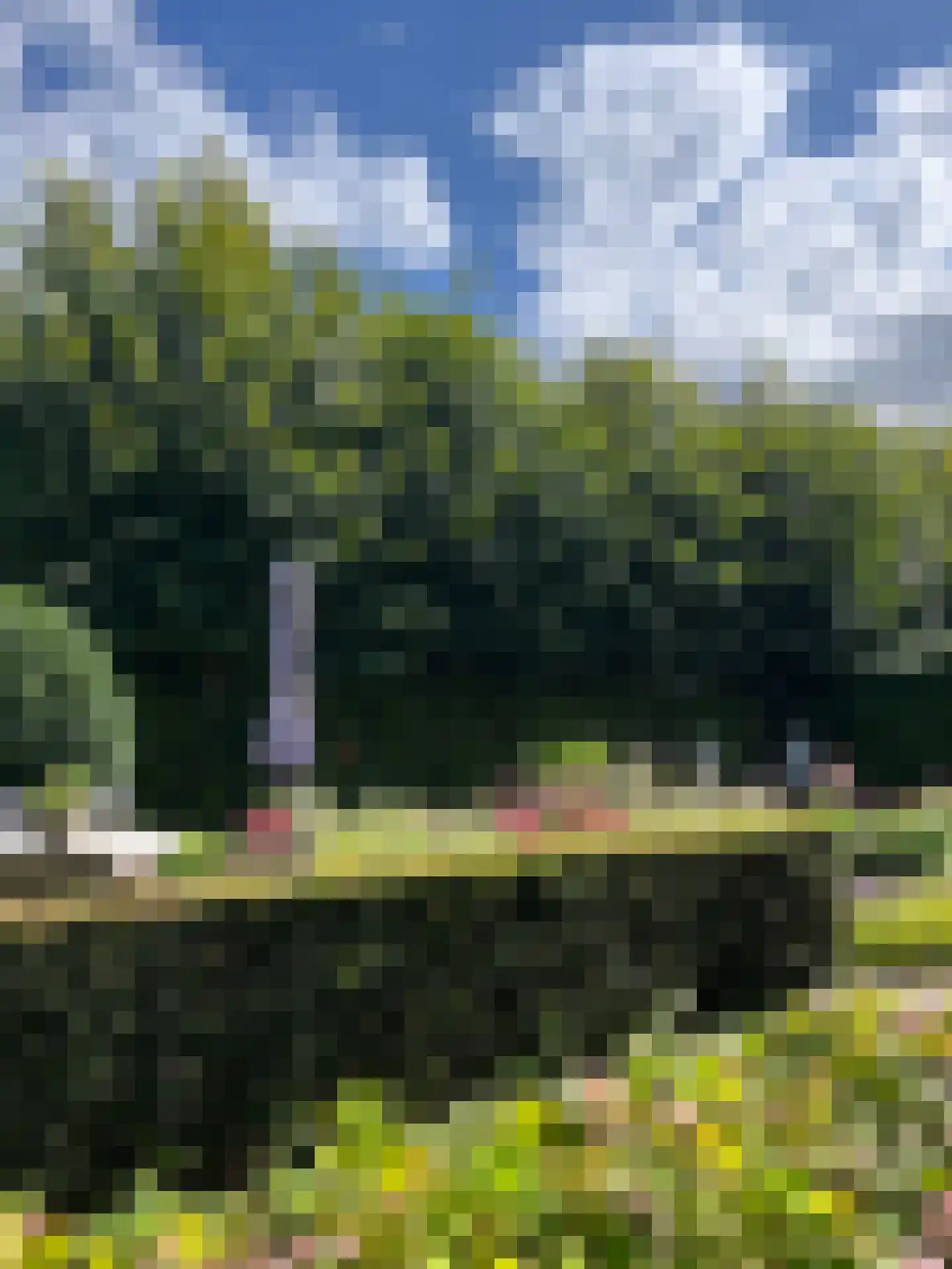 Milrooijseweg 77 Berlicum thumbnail 80