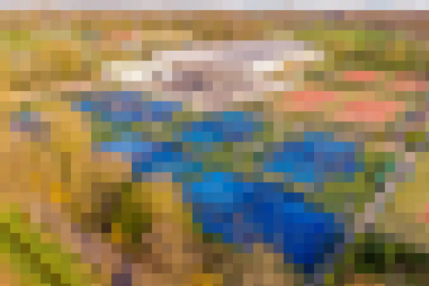 Milrooijseweg 95 Berlicum thumbnail 72