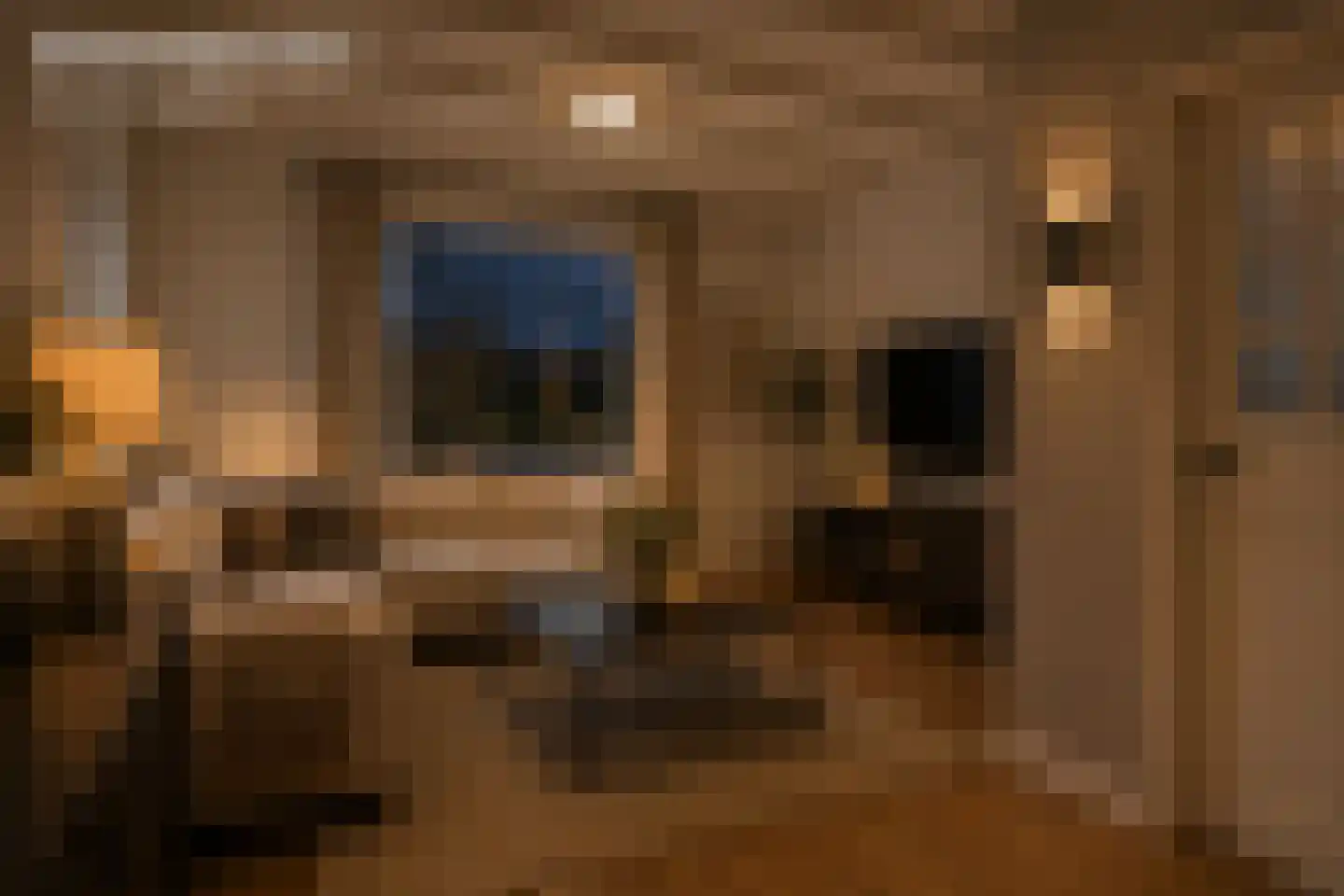 Milrooijseweg 95 Berlicum thumbnail 8