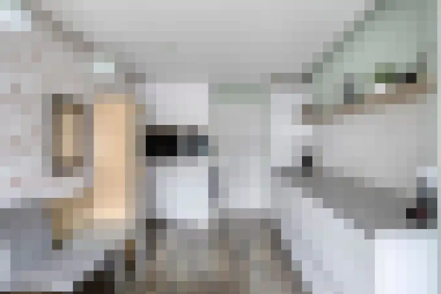 Milsbeeksingel 11 Tilburg thumbnail 19