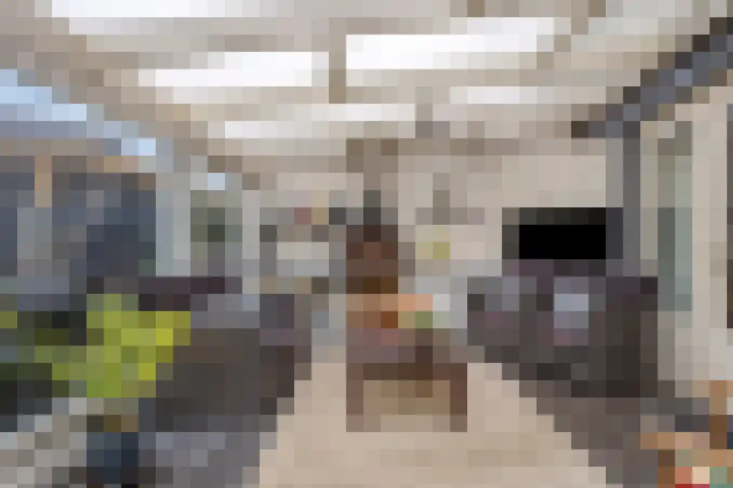 Milsbeeksingel 11 Tilburg thumbnail 22