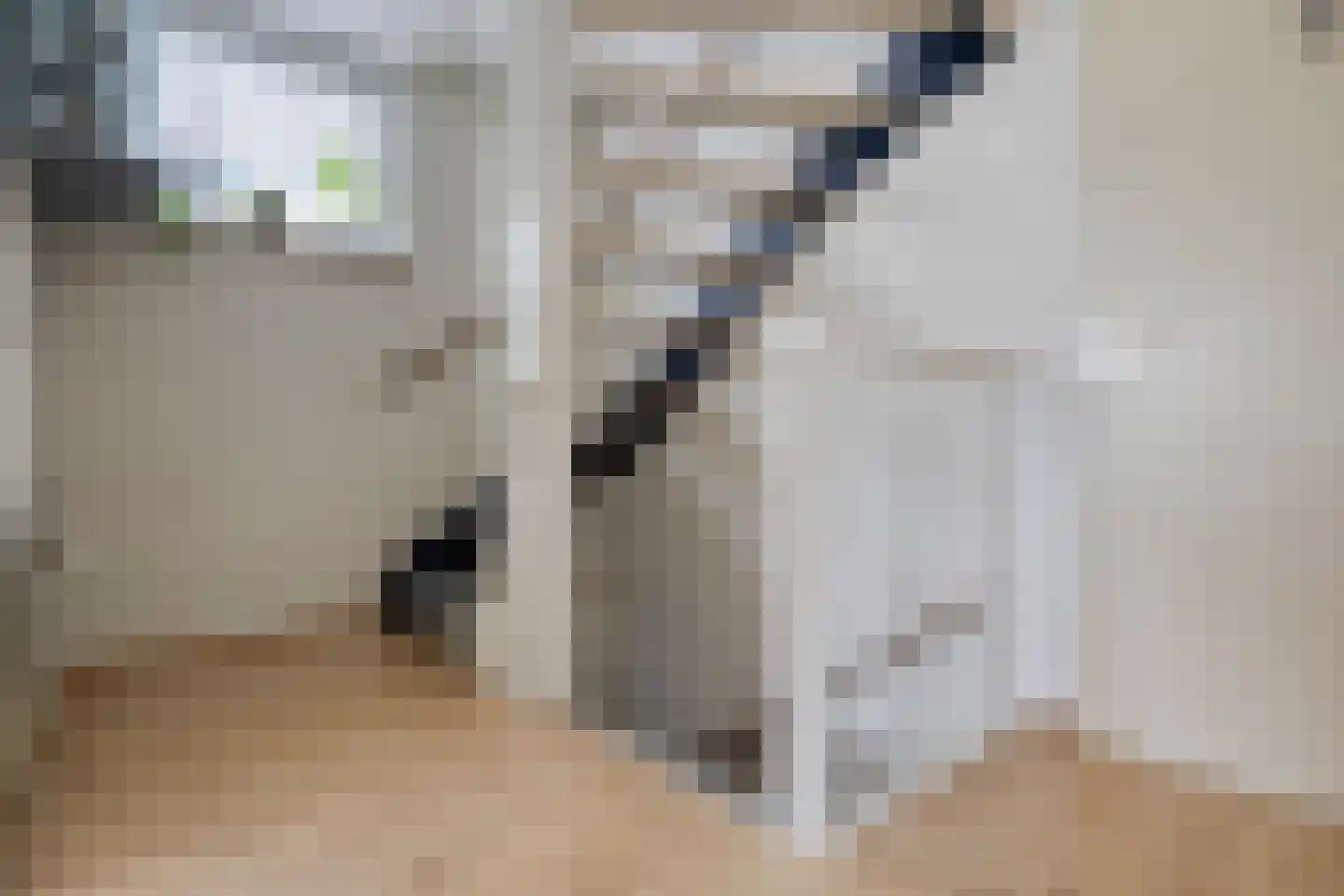 Milsbeeksingel 11 Tilburg thumbnail 26
