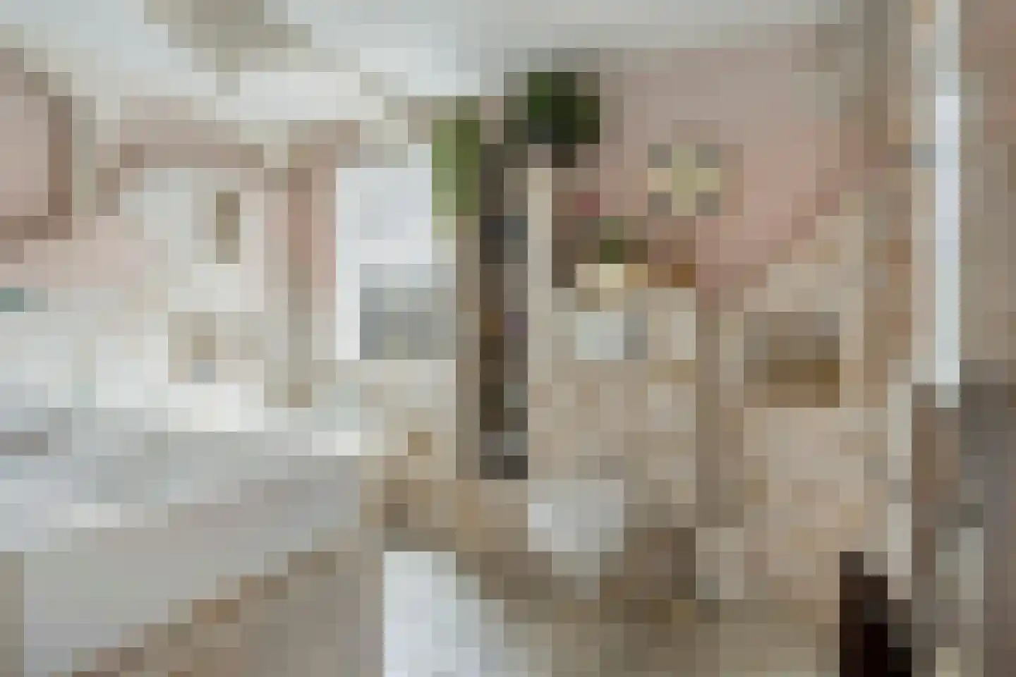 Milsbeeksingel 11 Tilburg thumbnail 30
