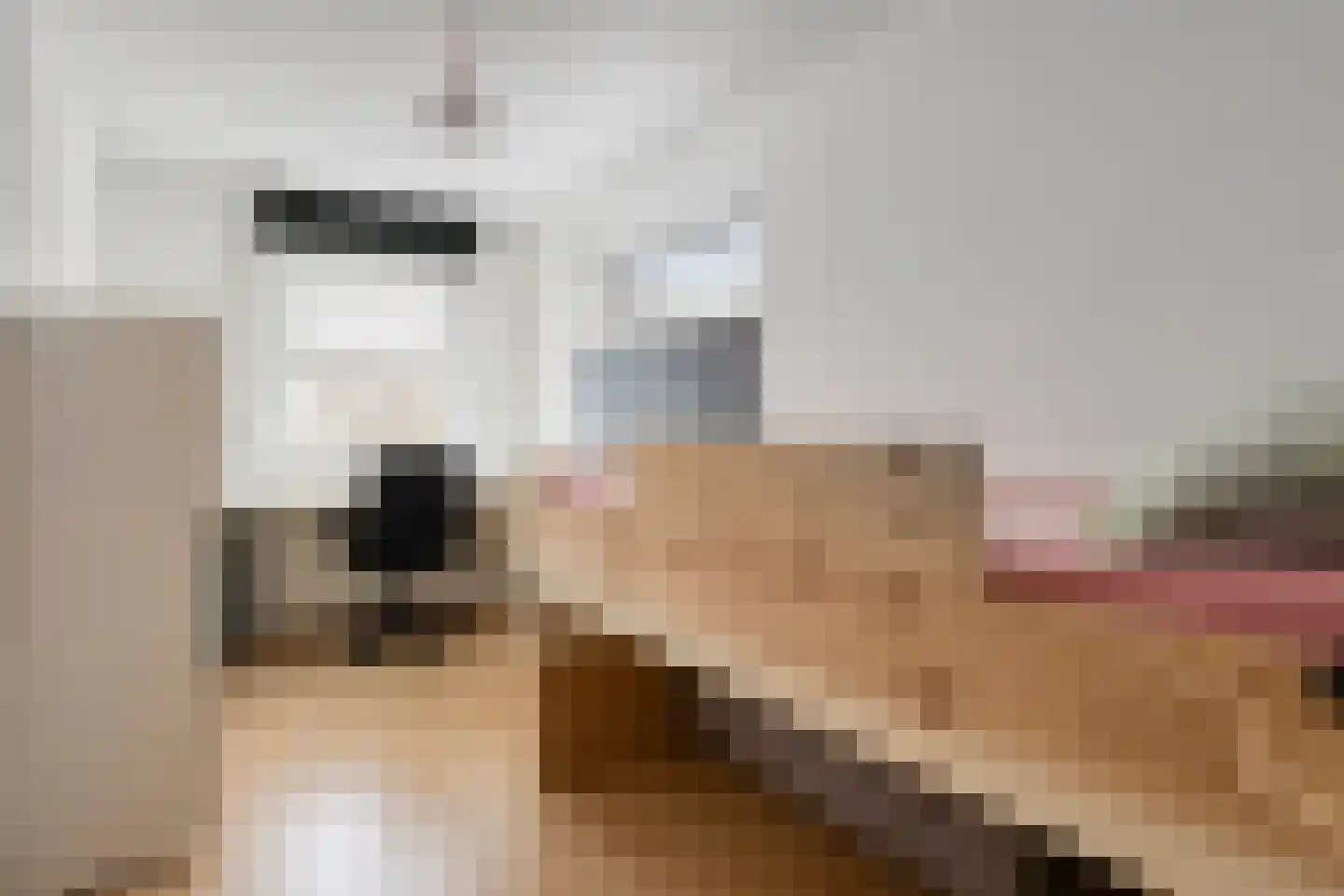Milsbeeksingel 11 Tilburg thumbnail 33