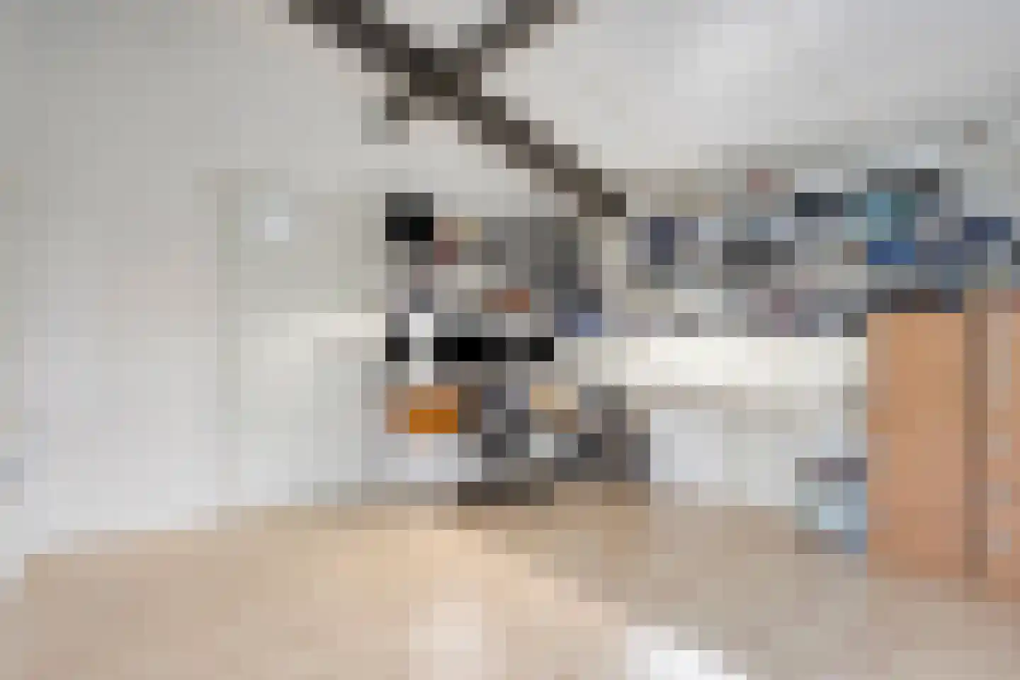 Milsbeeksingel 11 Tilburg thumbnail 36