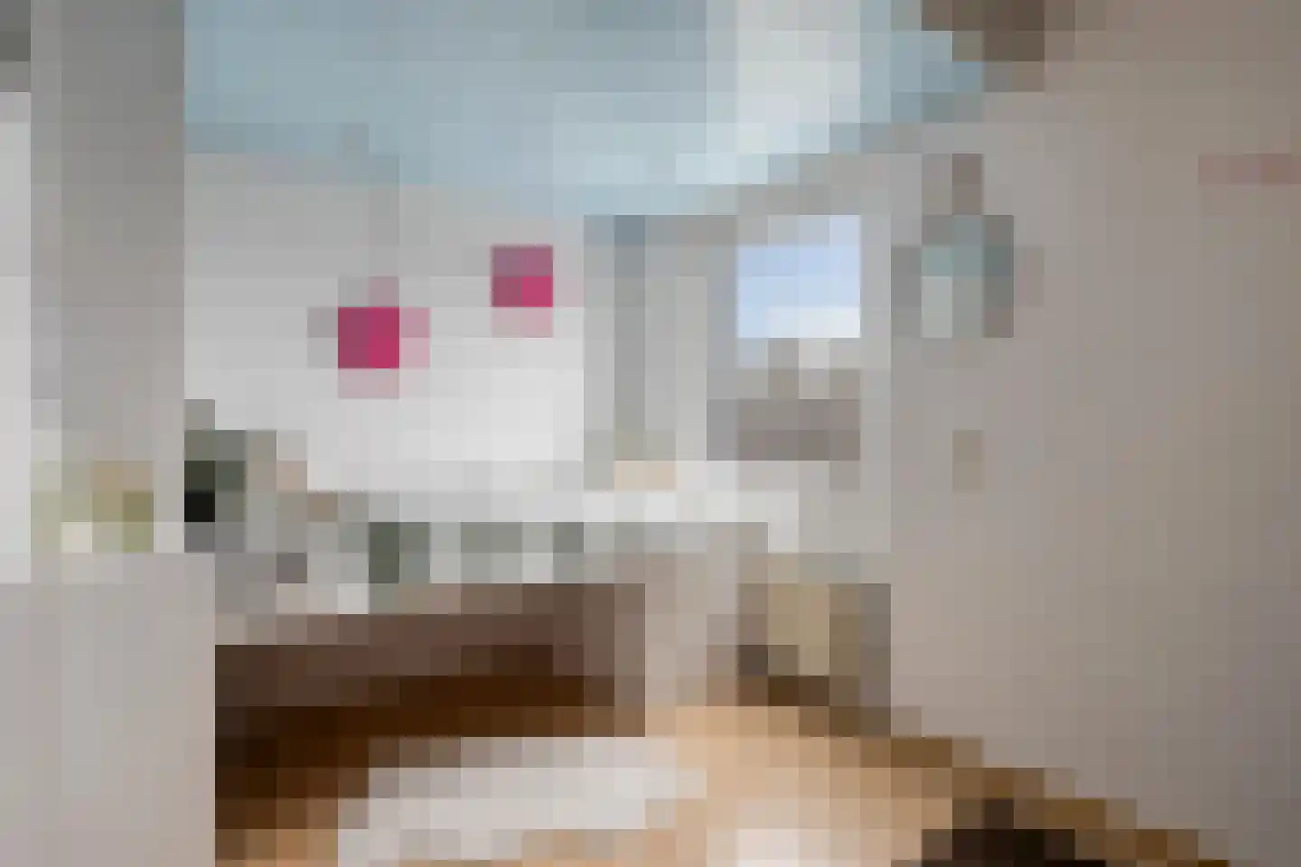 Milsbeeksingel 11 Tilburg thumbnail 37