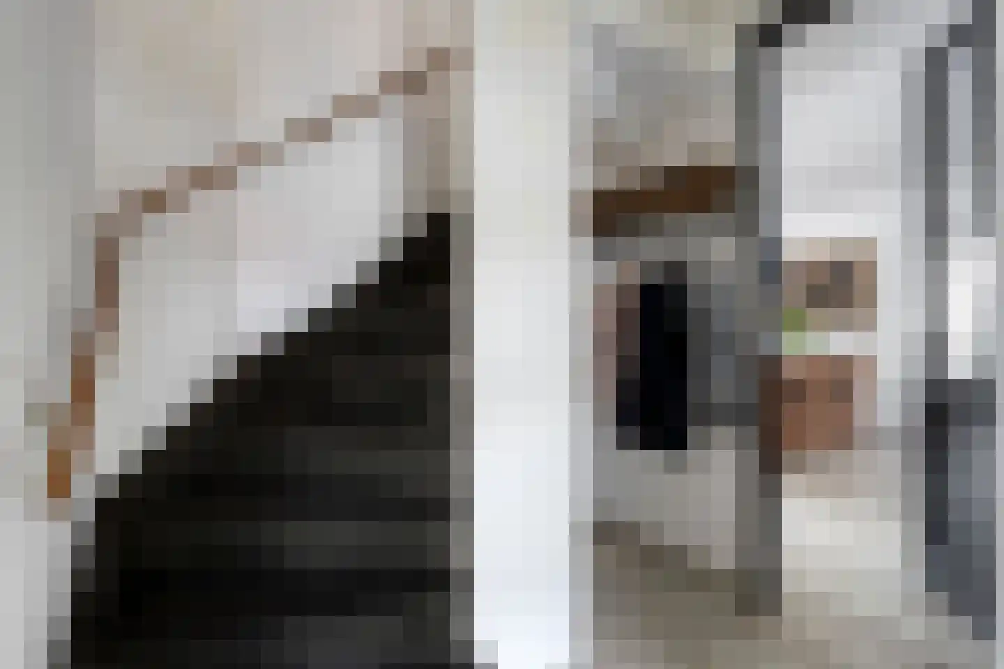 Milsbeeksingel 11 Tilburg thumbnail 4
