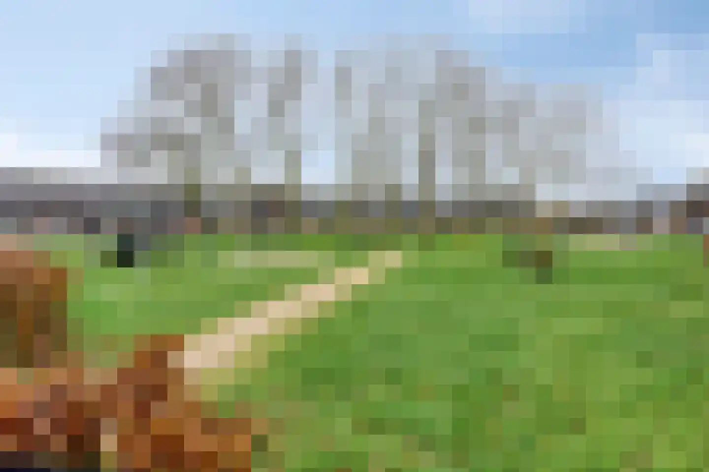 Milsbeeksingel 11 Tilburg thumbnail 46