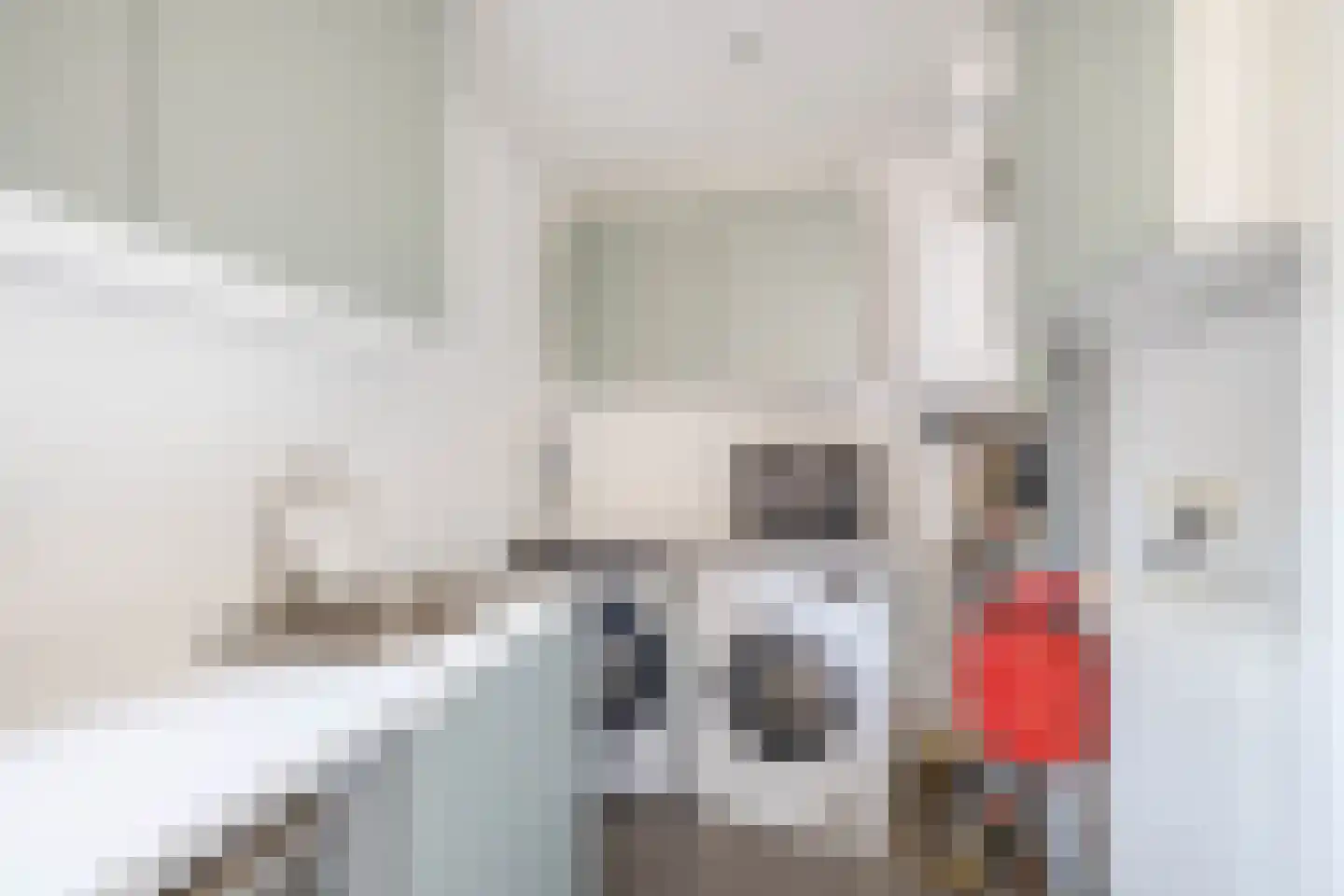 Milsbeekstraat 5 Arnhem thumbnail 18