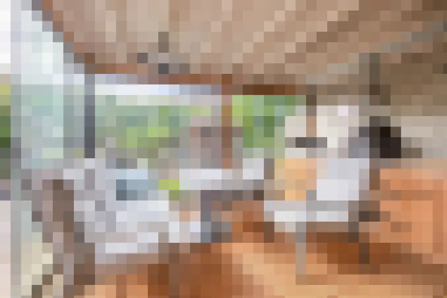 Milsbeekstraat 5 Arnhem thumbnail 42