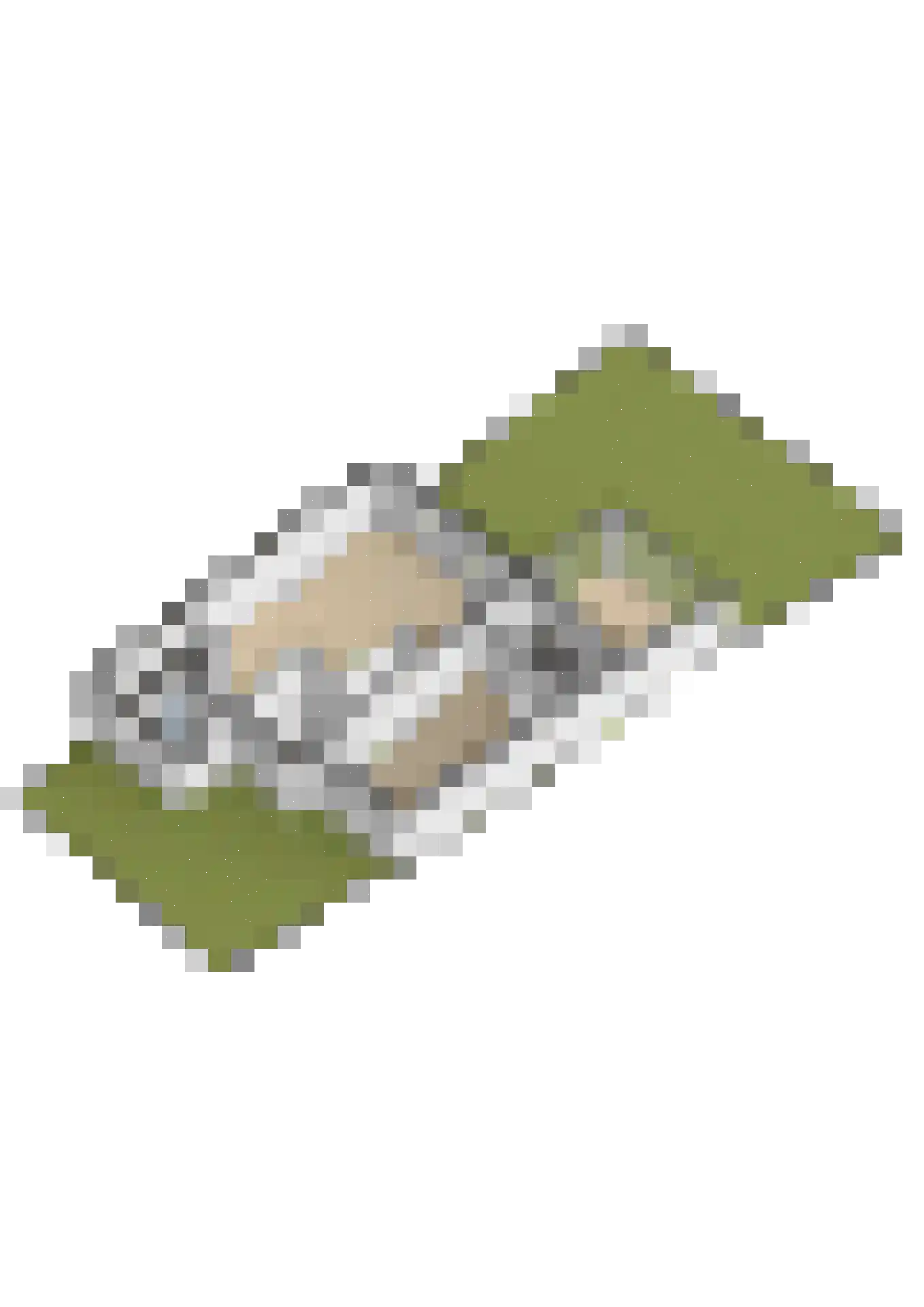Milsbeekstraat 5 Arnhem thumbnail 64