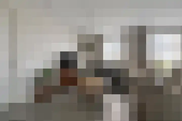 Milschot 47 a De Mortel thumbnail 14