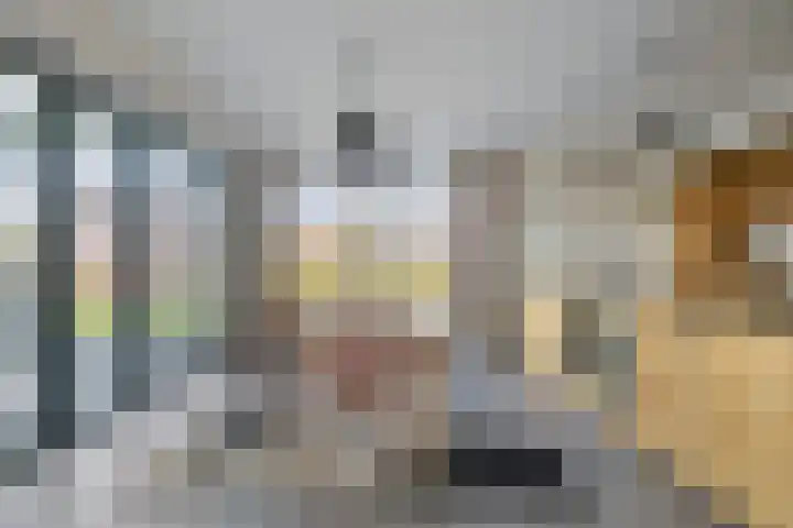 Milschot 47 a De Mortel thumbnail 23