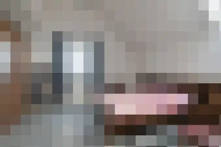 Milschot 47 a De Mortel thumbnail 29