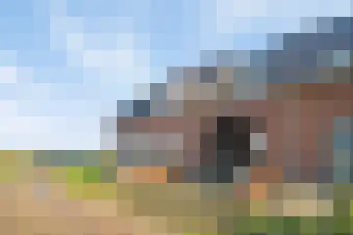 Milschot 47 a De Mortel thumbnail 6