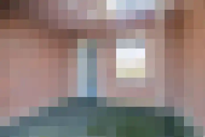 Milschot 47 a De Mortel thumbnail 9