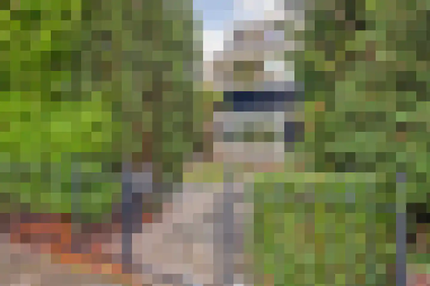 Miltonstraat 2 Rotterdam thumbnail 39