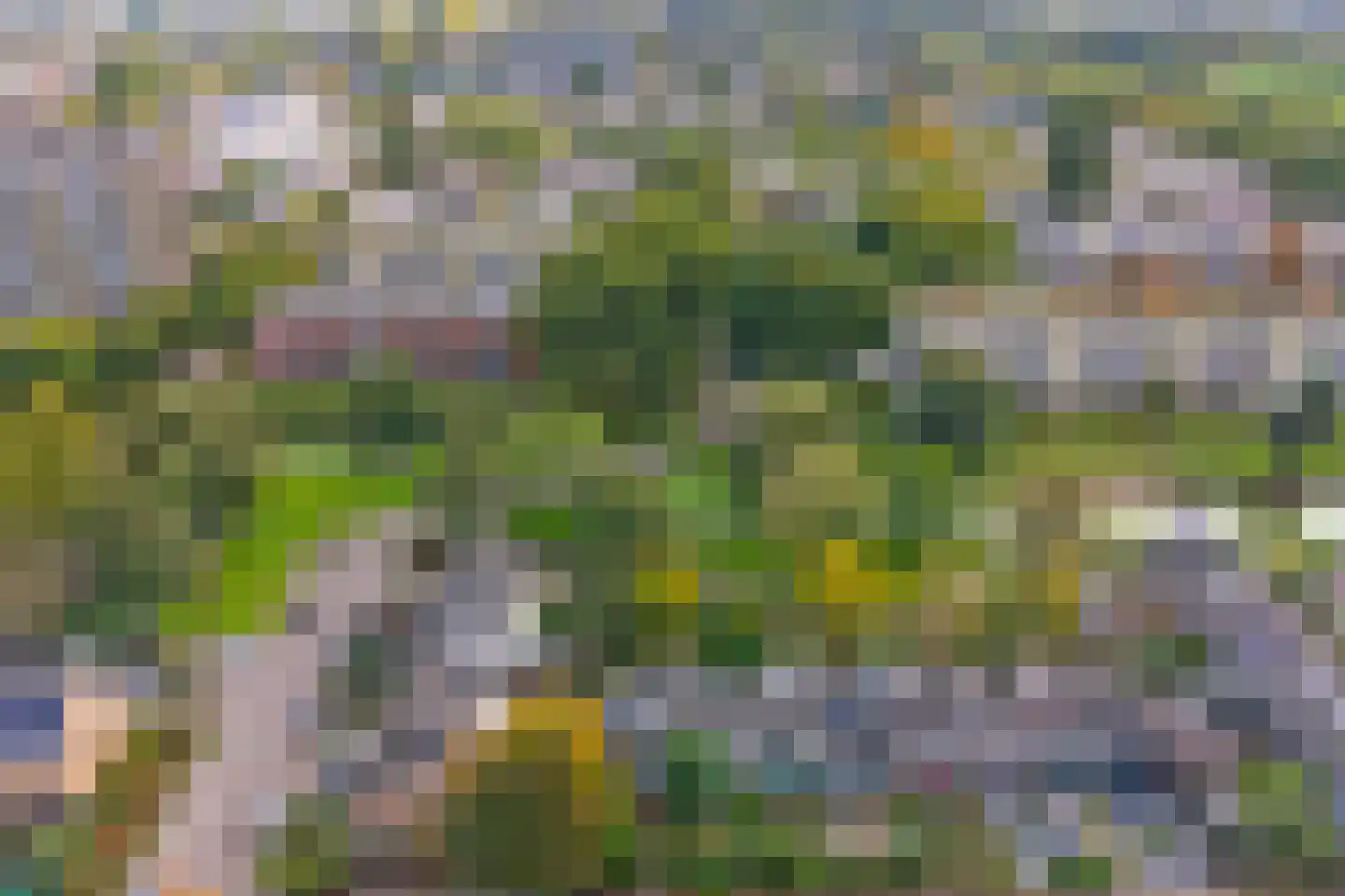 Miltonstraat 2 Rotterdam thumbnail 42