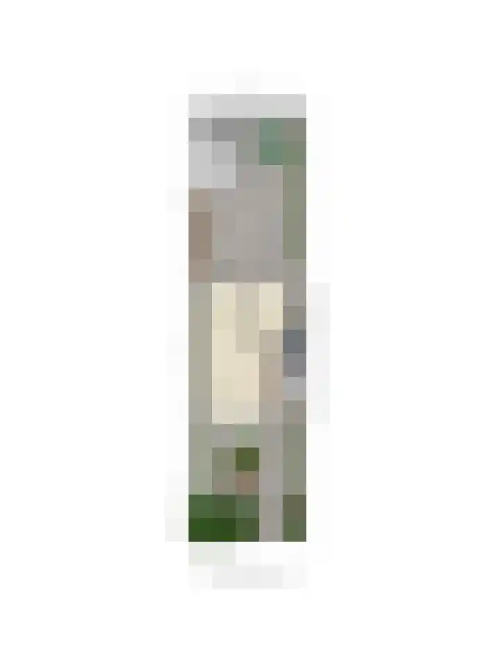 Miltonstraat 34 Rotterdam thumbnail 48