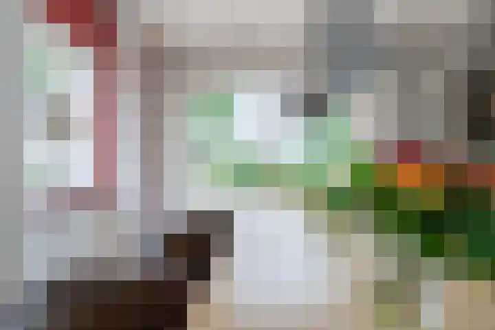 Miltseweg 3 Gendringen thumbnail 10