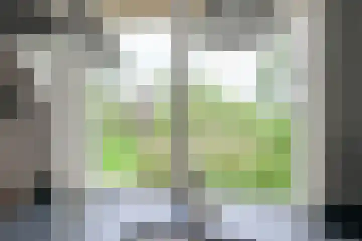 Miltseweg 3 Gendringen thumbnail 25