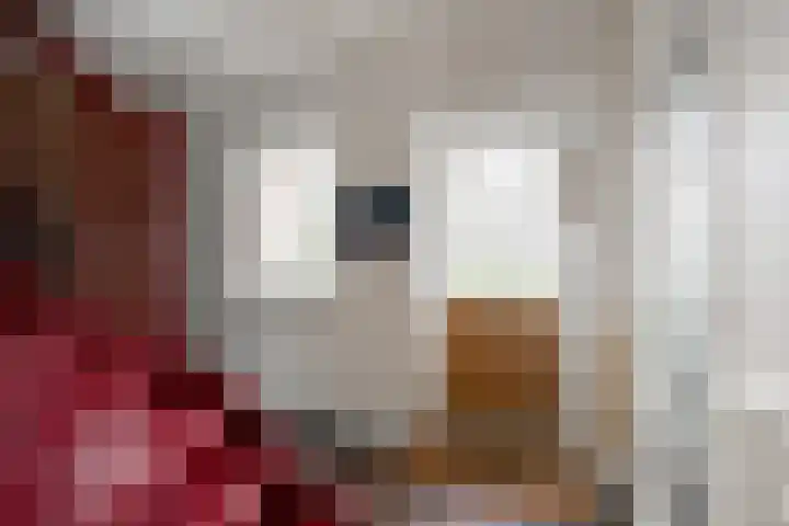 Miltseweg 3 Gendringen thumbnail 33