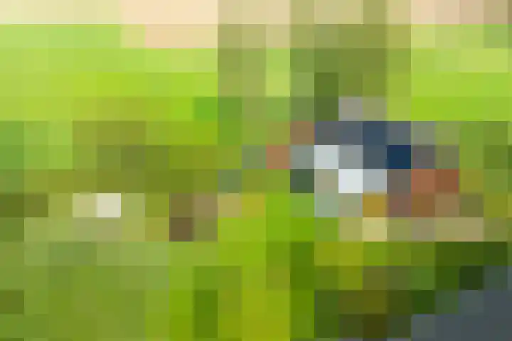 Miltseweg 3 Gendringen thumbnail 47