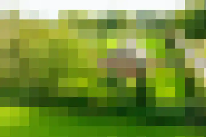 Miltseweg 3 Gendringen thumbnail 5