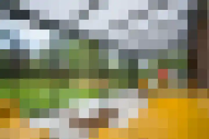 Miltseweg 3 Gendringen thumbnail 53
