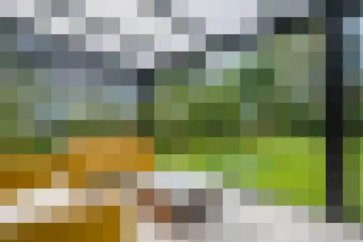 Miltseweg 3 Gendringen thumbnail 55