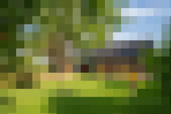Miltseweg 3 Gendringen thumbnail 56