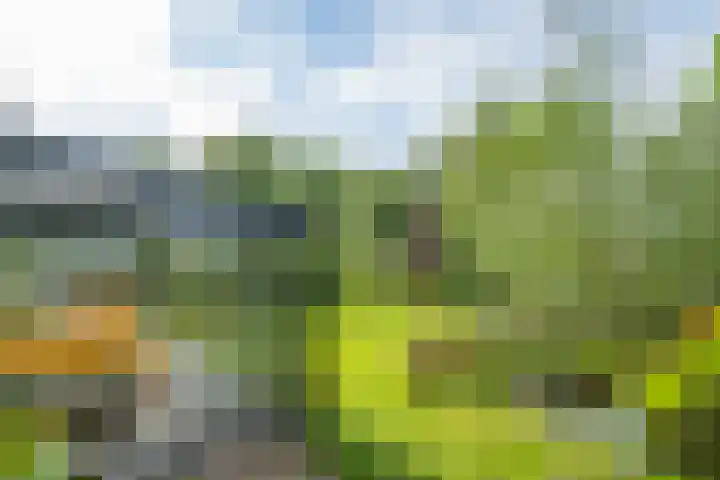 Miltseweg 3 Gendringen thumbnail 59
