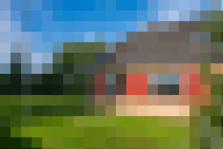 Miltseweg 3 Gendringen thumbnail 60
