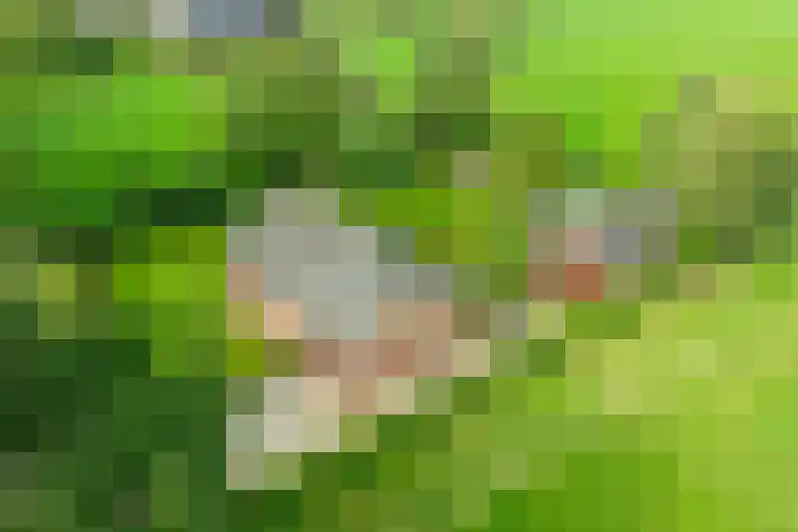 Miltseweg 3 Gendringen thumbnail 63