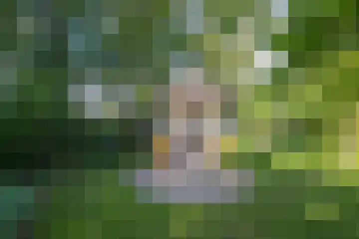 Miltseweg 3 Gendringen thumbnail 70