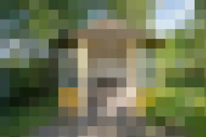 Miltseweg 3 Gendringen thumbnail 71