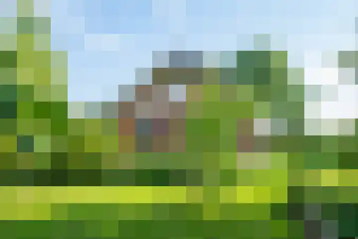 Miltseweg 3 Gendringen thumbnail 73